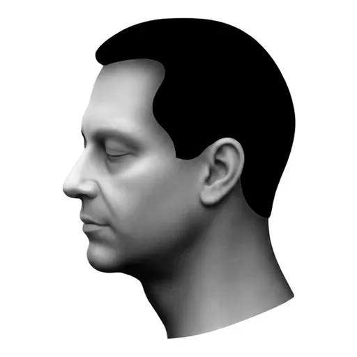 Profile portrait colored with skin tone palette